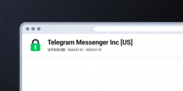 浏览器地址栏显示HTTPS安全锁和Telegram Messenger Inc证书信息的示意图