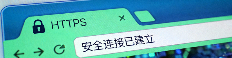 浏览器地址栏安全锁标识示意图 - 显示HTTPS和安全连接提示