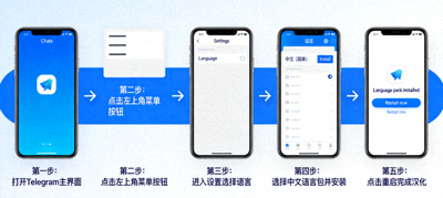 如何汉化Telegram详细步骤示意图 - 语言包安装界面